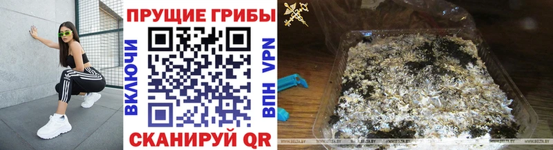 Галлюциногенные грибы ЛСД  Россошь 
