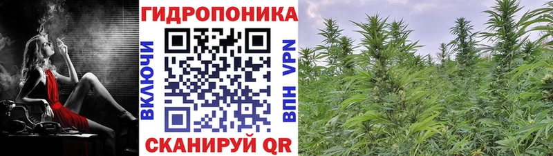 Конопля марихуана  darknet формула  Россошь  купить наркотик 